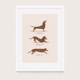 A4 Print Yoga Dog