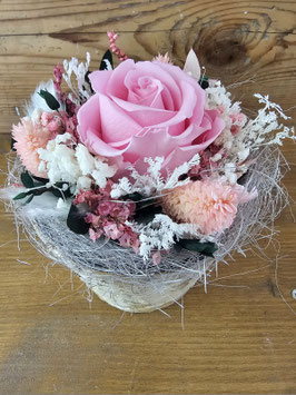 Birken-Töpfli mit Rose, 255