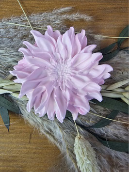 Blume, 90