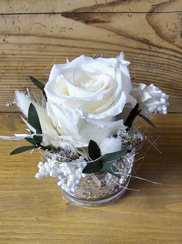 Rose im Körnchen,74