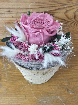 Birken-Töpfli mit Rose, 250