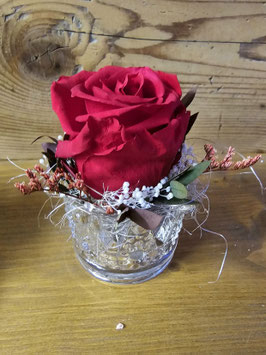 Rose im Körnchen,63