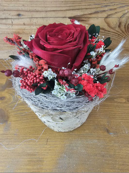 Birken-Töpfli mit Rose, 243