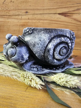 Schnecke Lotta, 25