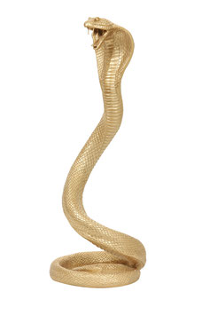 Ornament Snake mat goud