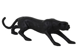 Panther zwart