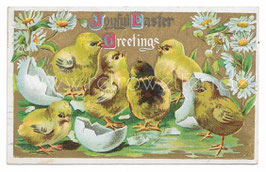 Alte Präge- Postkarte OSTERN Joyful Easter Greetings, Küken schlüpfen aus dem Ei