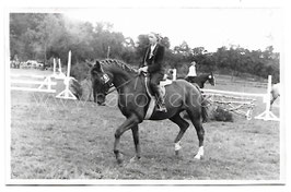 Alte Fotografie Postkarte JUNGE REITERIN AUF PFERD BEIM REITTURNIER Reitsport 1940er Jahre