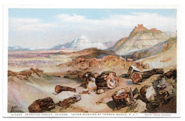 Alte Künstler Postkarte ARIZONA Petrified Forest (nach einem Gemälde von Thomas Moran)