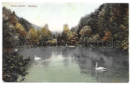 Alte Postkarte BADEN-BADEN Waldsee mit Schwänen, 1909