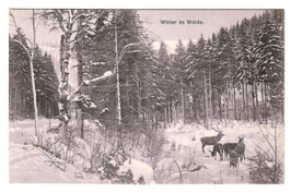 Alte Postkarte WINTER IM WALDE Rehe in Schneelandschaft, um 1915