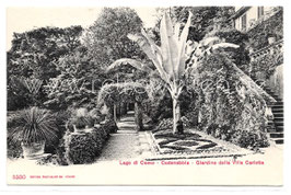 Alte Postkarte LAGO DI COMO Cadenabbia - Giardino della Villa Carlotta