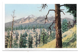 Alte Postkarte ARIZONA  San Francisco Mountains near Flagstaff