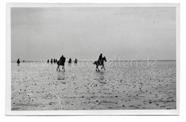 Alte Fotografie Postkarte REITER AUF DEM NORDSEE-WATT BEI REGEN