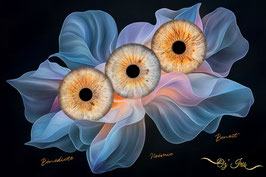 Photographie d' iris en trio ( à domicile )