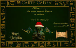 Carte cadeau 1 shooting grossesse 10 Photos en extérieur