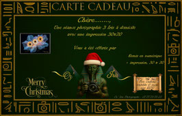 Bon cadeau pour une Photographie d' iris en trio sur la même photo ( à domicile )