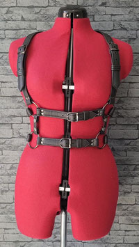 DOUBLE HARNESS