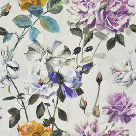 couture rose viola