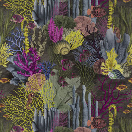 fabulous reef 080