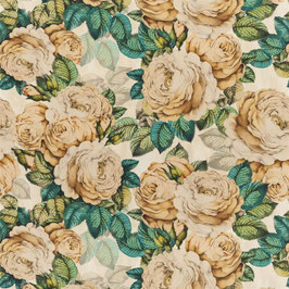 the rose sepia