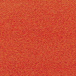 cormo persimmon 11