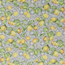 limoncino 091