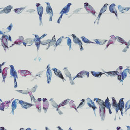 birdsong 050