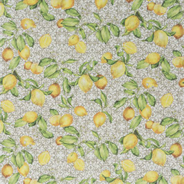 limoncino 070