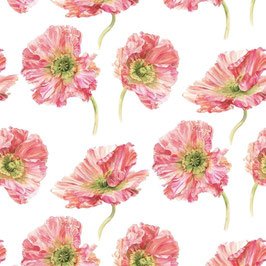 coquelicot coral