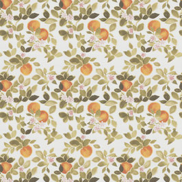 laranja 061