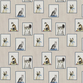 cute cats 1-8956-050 blau