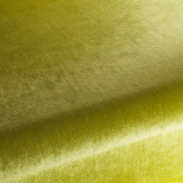 palazzo velvet kiwi CA 1175/031