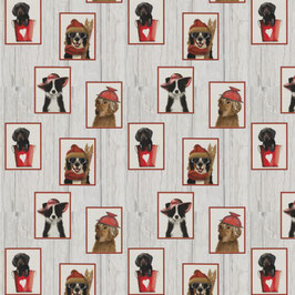dogs delight 1-8957-010 rot