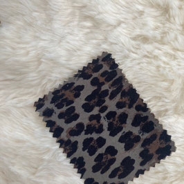 leopardo 05 twilight