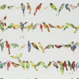 birdsong 060