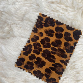 leopardo 02 noon