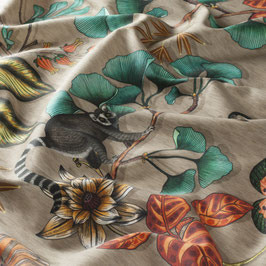 fantastic madagaskar 061