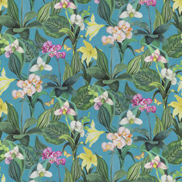 orchid 080