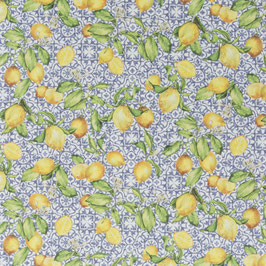 limoncino 050