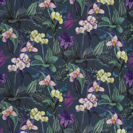 orchid 081