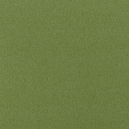 loden emerald