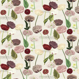 poppy study violet