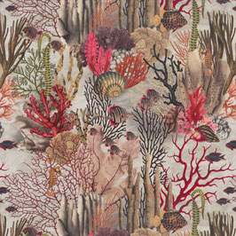 fabulous reef 010