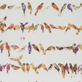 birdsong 040