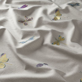 papillon 080