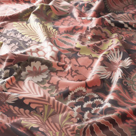 curious wonderland  ch 3079/010