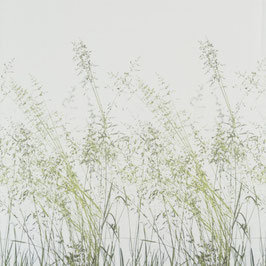 peace of lawn JA8031-030