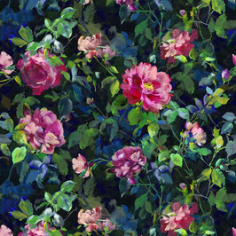 gertrude fuchsia
