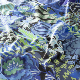 curious wonderland  ch 3079/050